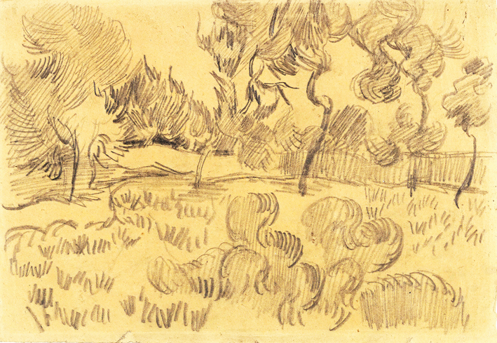  文森特·威廉·梵高  Vincent Willen Van Gogh —— 树 (18)